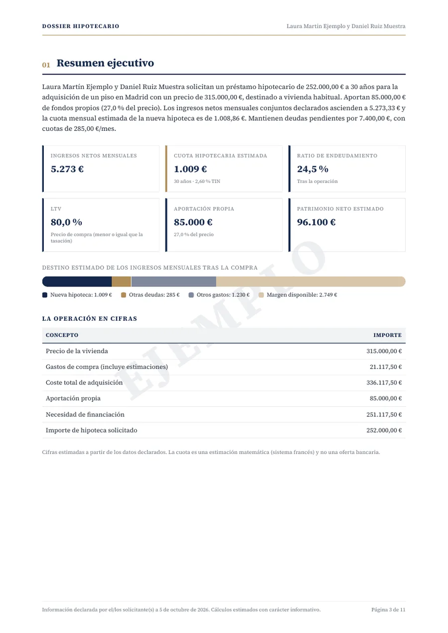 Dossier de ejemplo con datos ficticios: Resumen ejecutivo